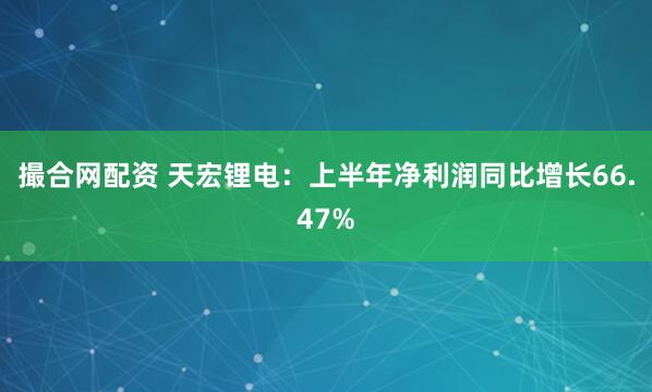 撮合网配资 天宏锂电：上半年净利润同比增长66.47%