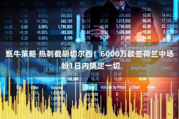 甄牛策略 热刺截胡切尔西！6000万欧签荷兰中场 盼1日内搞定一切
