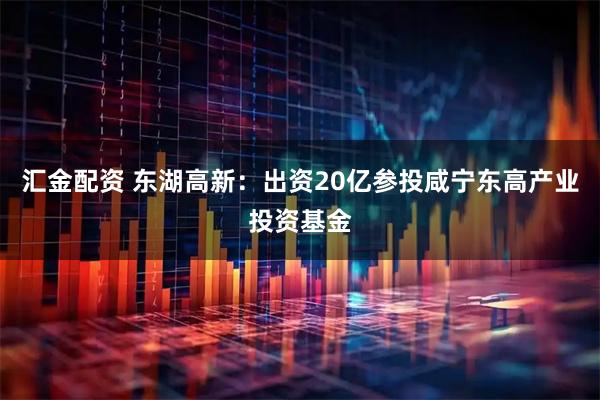 汇金配资 东湖高新：出资20亿参投咸宁东高产业投资基金
