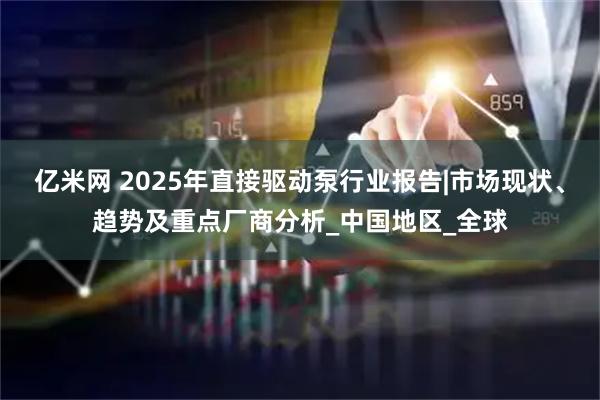 亿米网 2025年直接驱动泵行业报告|市场现状、趋势及重点厂商分析_中国地区_全球